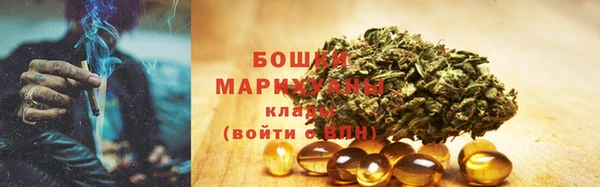 прущие грибы Приозерск