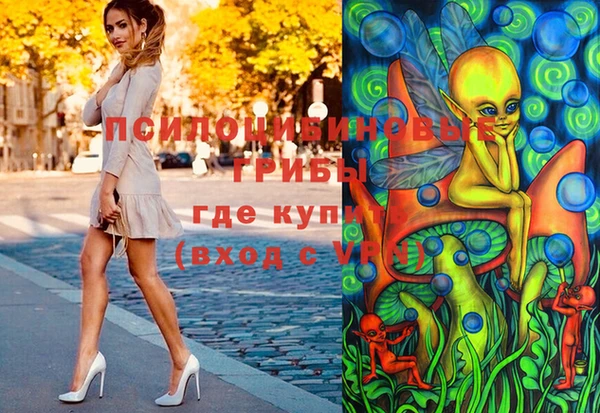 бошки Баксан